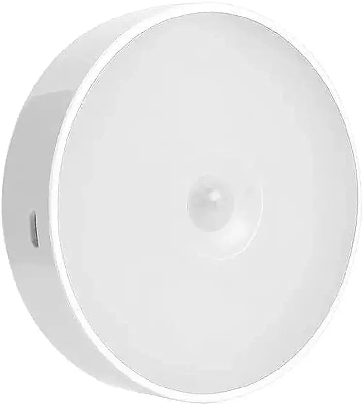 Motion sensor light